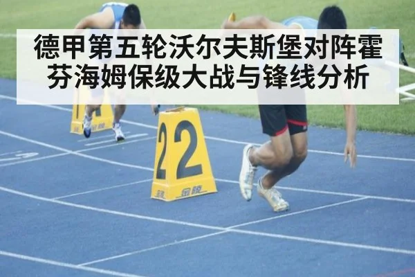 德甲第五轮沃尔夫斯堡对阵霍芬海姆保级大战与锋线分析